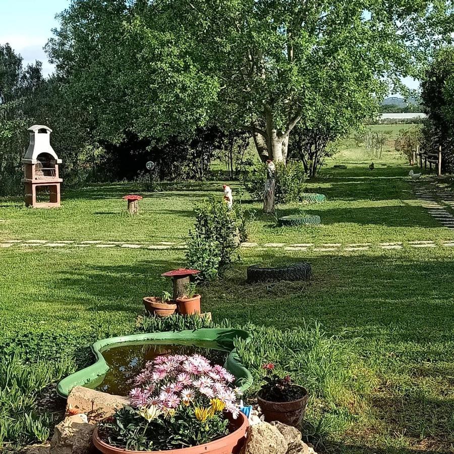 Agriturismo Il Cipresso Vada Eksteriør bilde