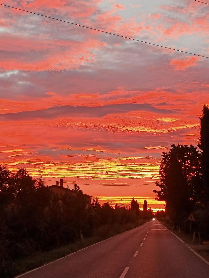 Agriturismo Il Cipresso Vada Eksteriør bilde