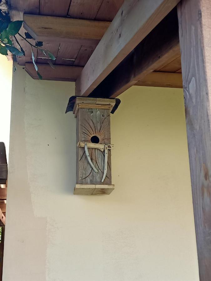 Agriturismo Il Cipresso Vada Eksteriør bilde