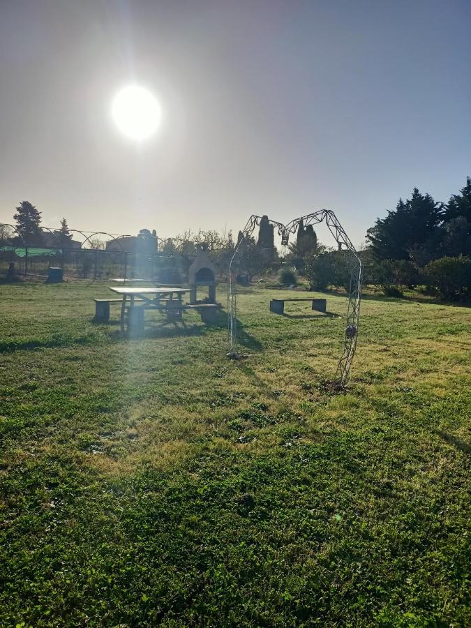 Agriturismo Il Cipresso Vada Eksteriør bilde
