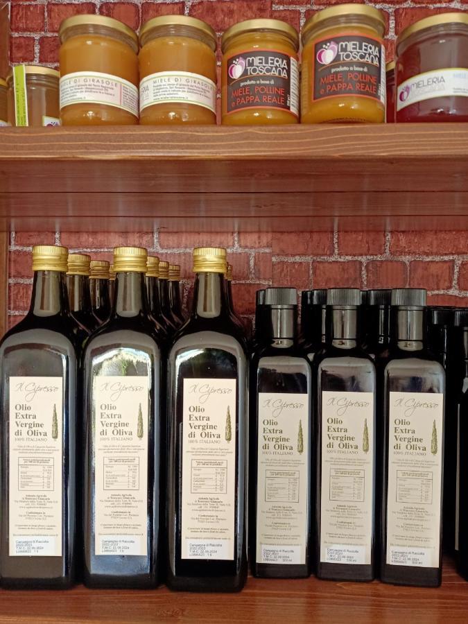 Agriturismo Il Cipresso Vada Eksteriør bilde