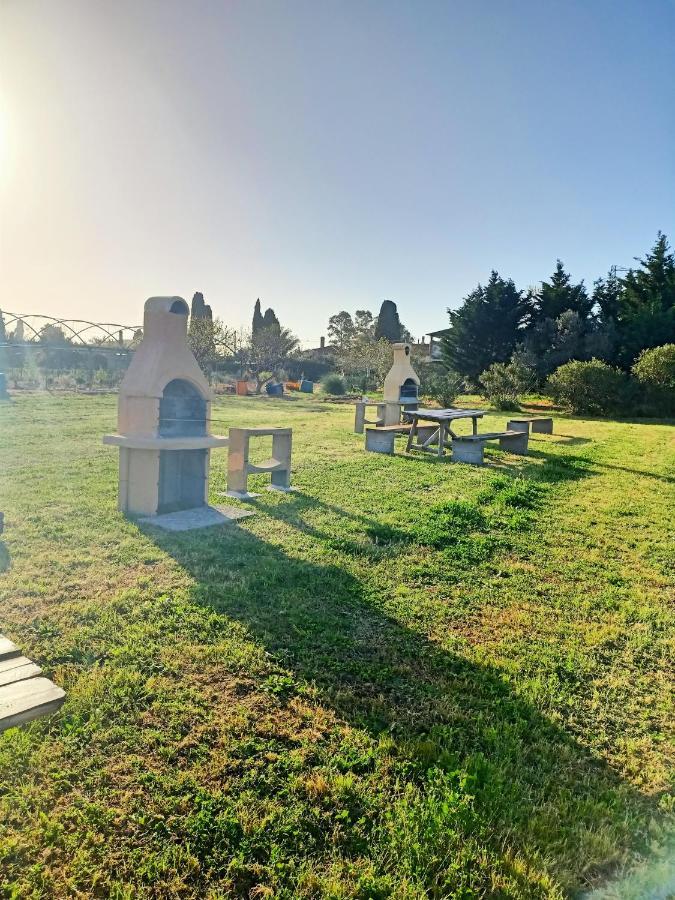 Agriturismo Il Cipresso Vada Eksteriør bilde