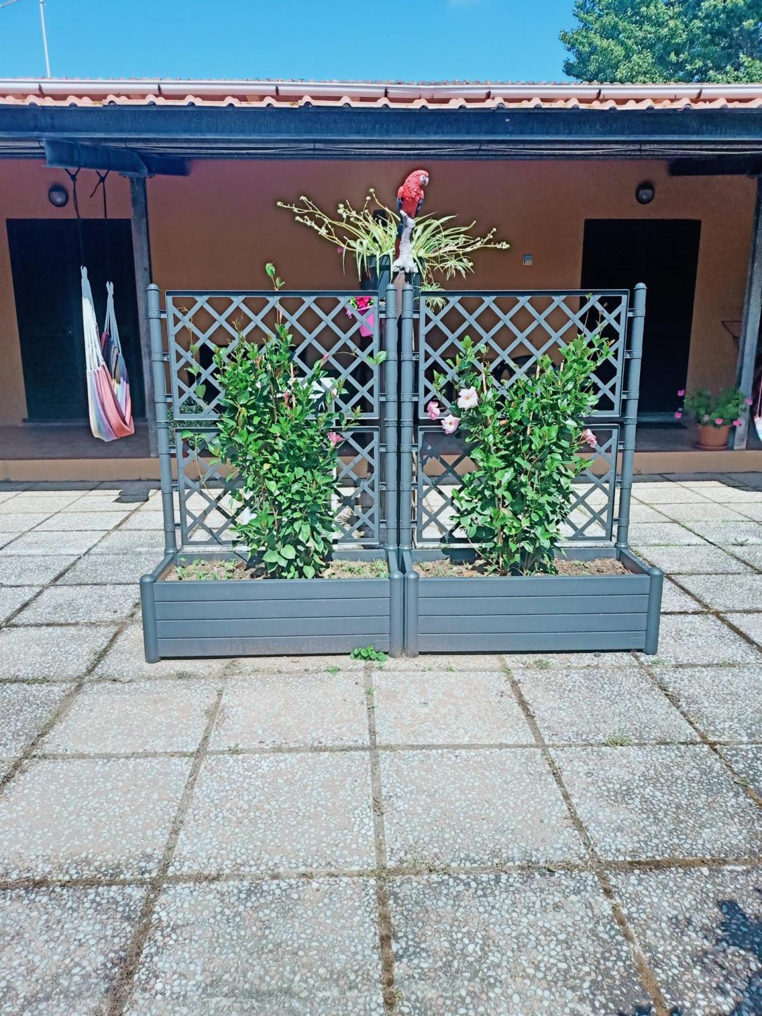 Agriturismo Il Cipresso Vada Eksteriør bilde