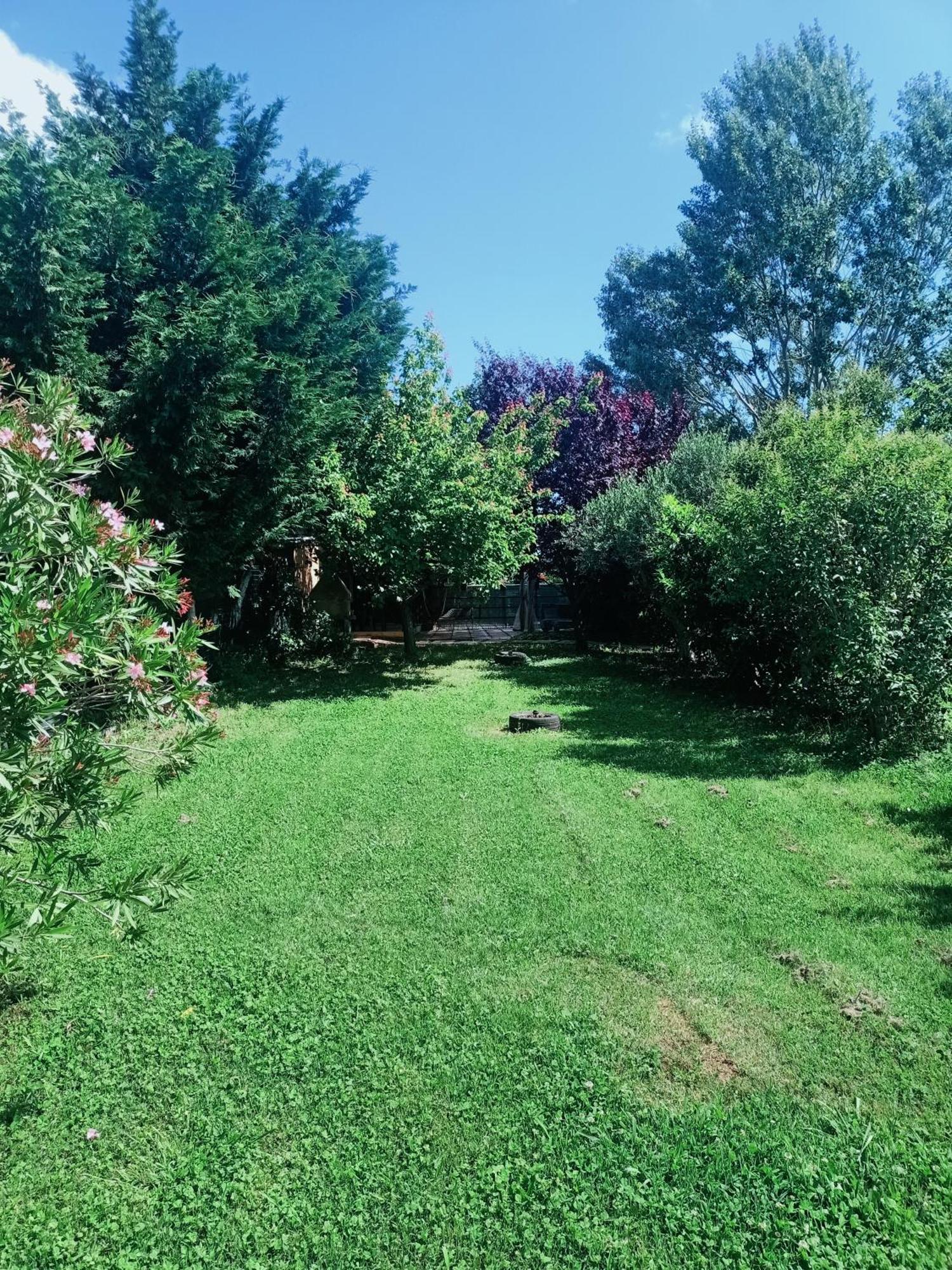 Agriturismo Il Cipresso Vada Eksteriør bilde