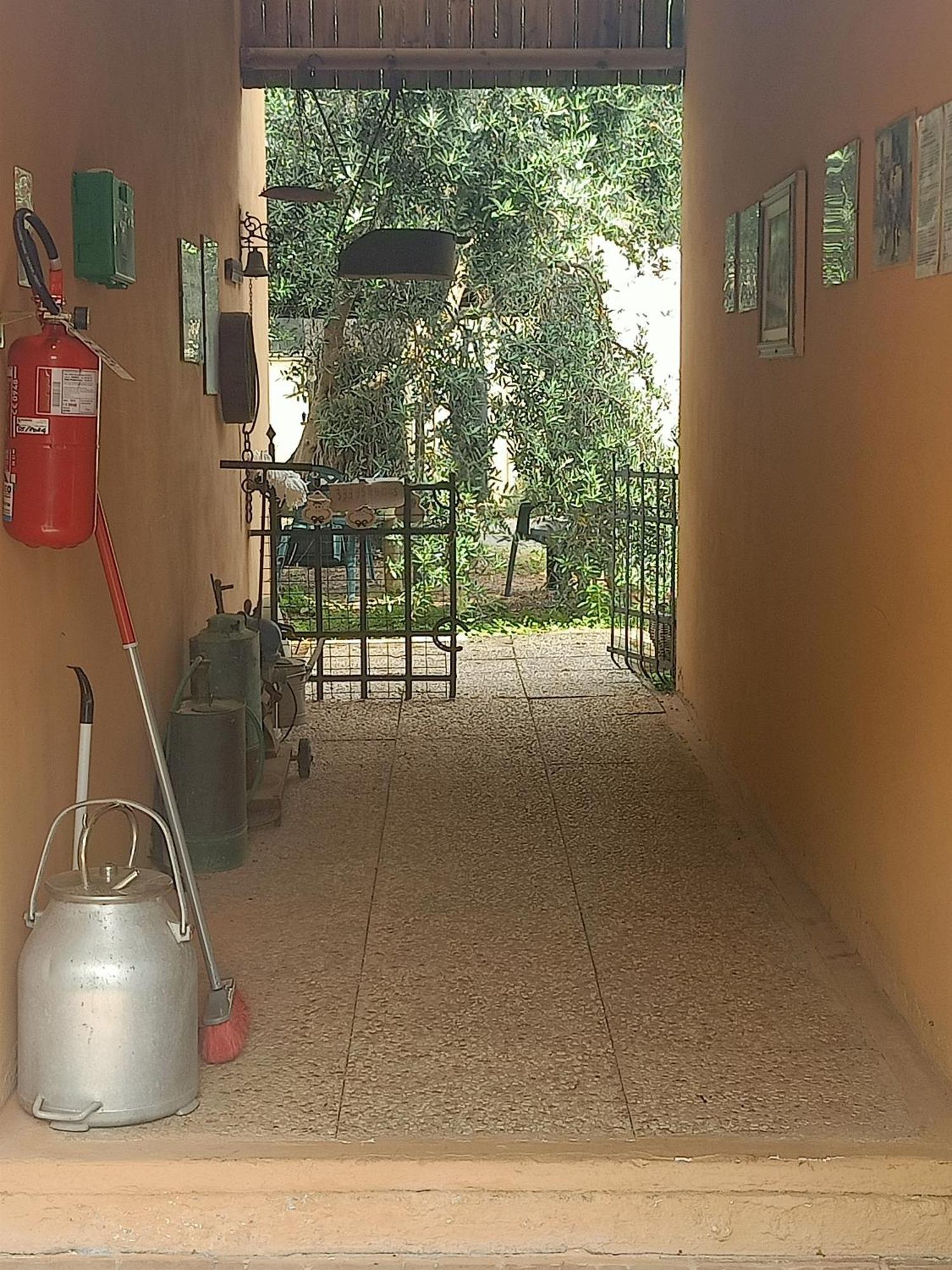 Agriturismo Il Cipresso Vada Eksteriør bilde
