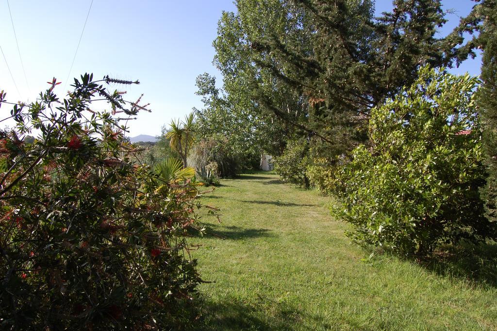 Agriturismo Il Cipresso Vada Eksteriør bilde